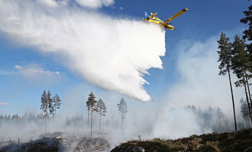 Flygplan vattenbombar skogsbrand